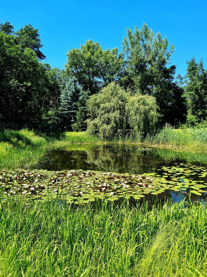 Wrzosowe Siedlisko Villa Czosnów Exterior foto